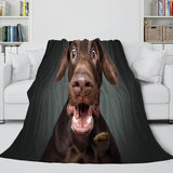 Animal Dog Cosplay Flannel Blanket Room Decoration Throw