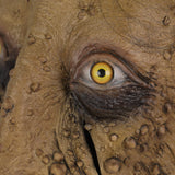 Ghosting Lepers Face Scary Cosplay Latex Helmet Halloween Props