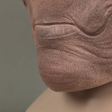 Green Lantern Kilowog cosplay Latex helmet halloween props