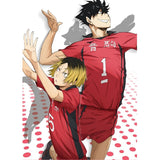 Haikyuu!! Anime Cosplay Costume Nekoma High School  Kenma Kozume Kuroo Tetsuro VolleyBall Uniform
