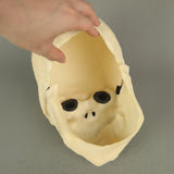 Skull Skeleton Cosplay Natural Latex Helmet Horrible Halloween Props