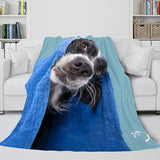 Animal Dog Cosplay Flannel Blanket Room Decoration Throw