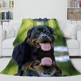 Animal Dog Cosplay Flannel Blanket Room Decoration Throw