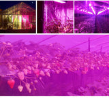 LED Grow Light 25W 45W AC85-265V Full Spectrum Plant Lighting Fitolampy For Plants Flowers Seedling Cultivation