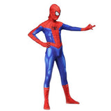 Spider-Man In de Spider-Vers Peter Benjamin Parke Cosplay Kostuum Zentai Spiderman Superhero Patroon Bodysuit Pak Jumpsuits - bfjcosplayer